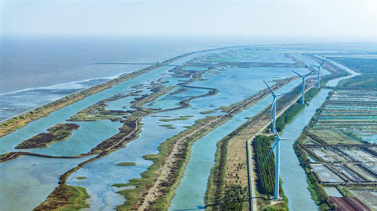 航拍上海崇明海岸湿地与风力发电机